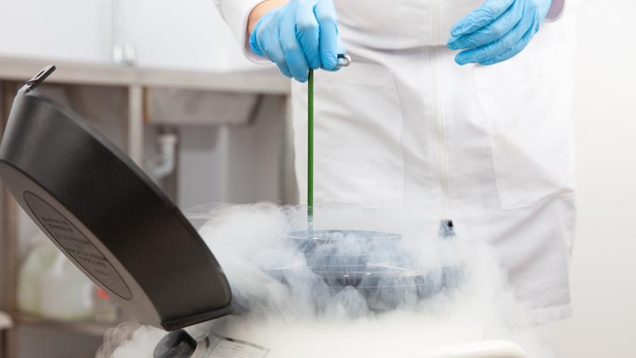 Don de gamètes : l’Autorité de protection des données alerte sur les zones grises de la fin de l’anonymat