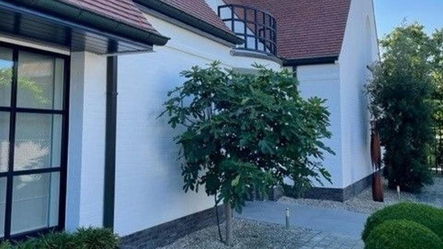 Beaucoup de verdure et une façade blanche font bon ménage