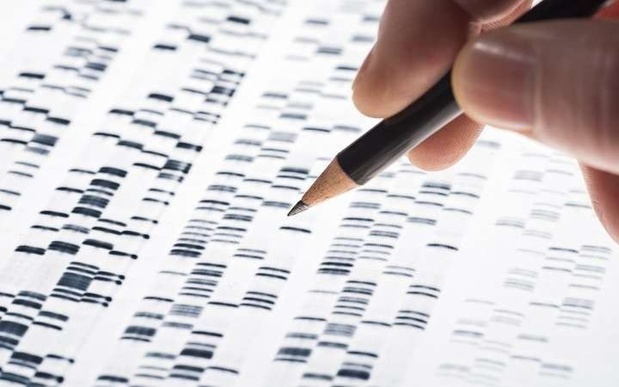 L'Europe se penche sur la pharmacogénomique