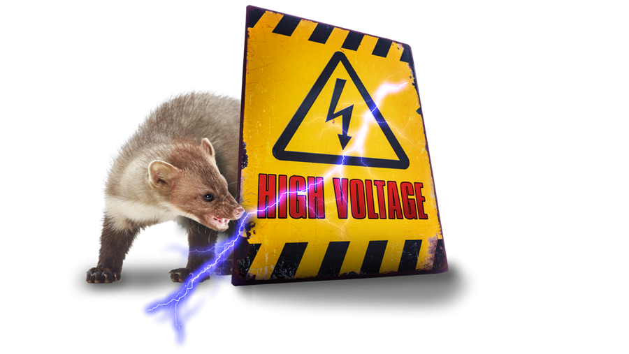 Effectieve bescherming tegen marters, voor elke motor