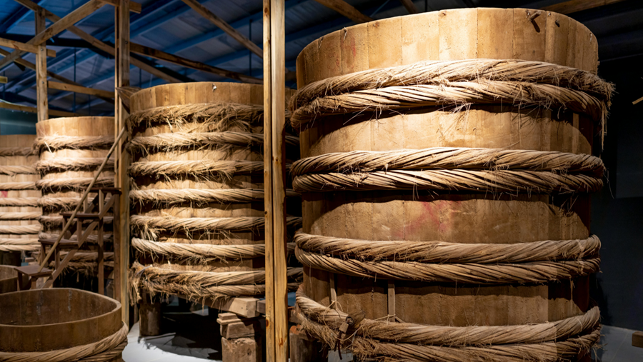 Le rôle des micro-organismes dans les processus de fermentation élucidé